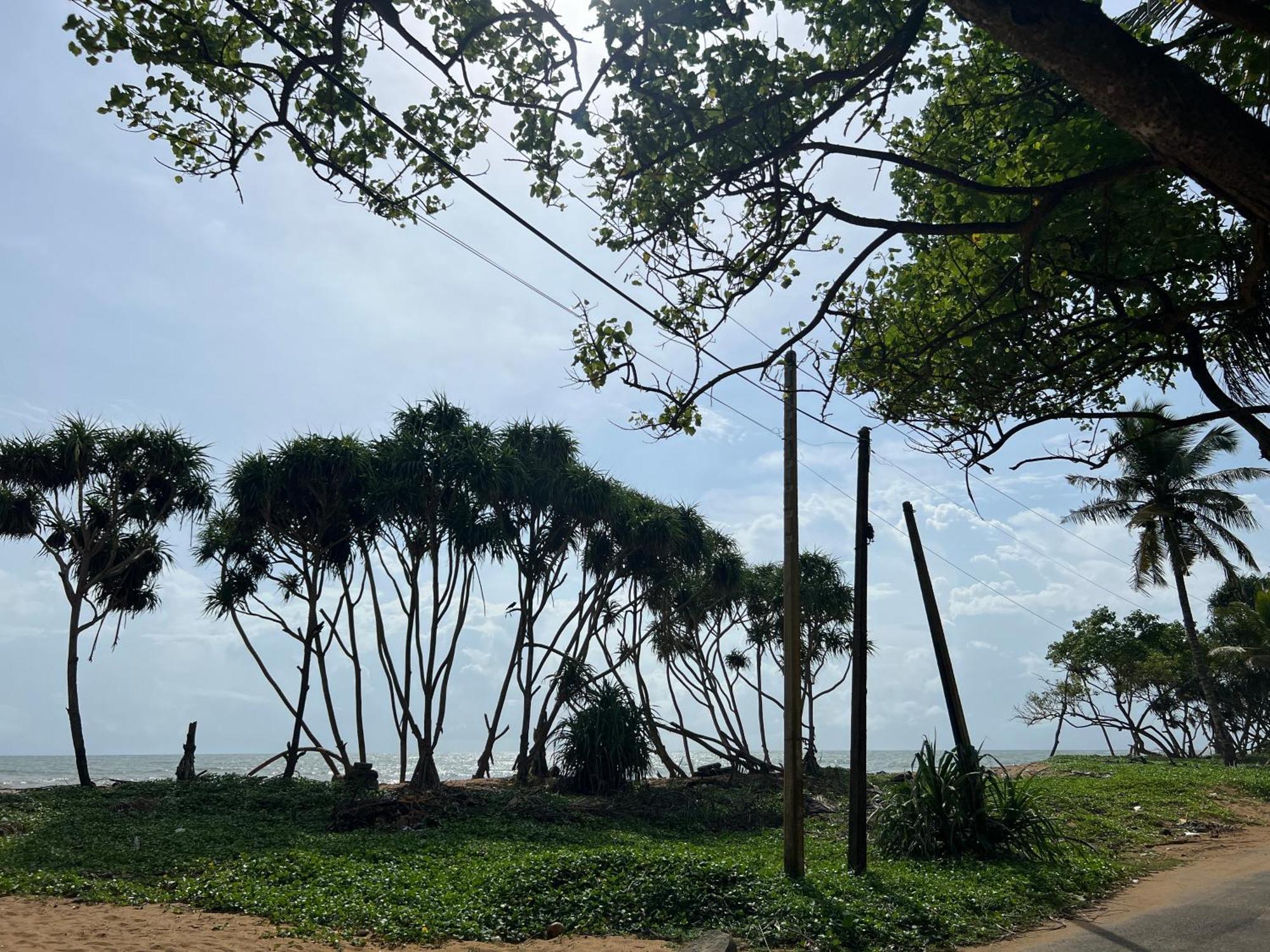 Lohas Beach Resort Villa Kalutara Bagian luar foto
