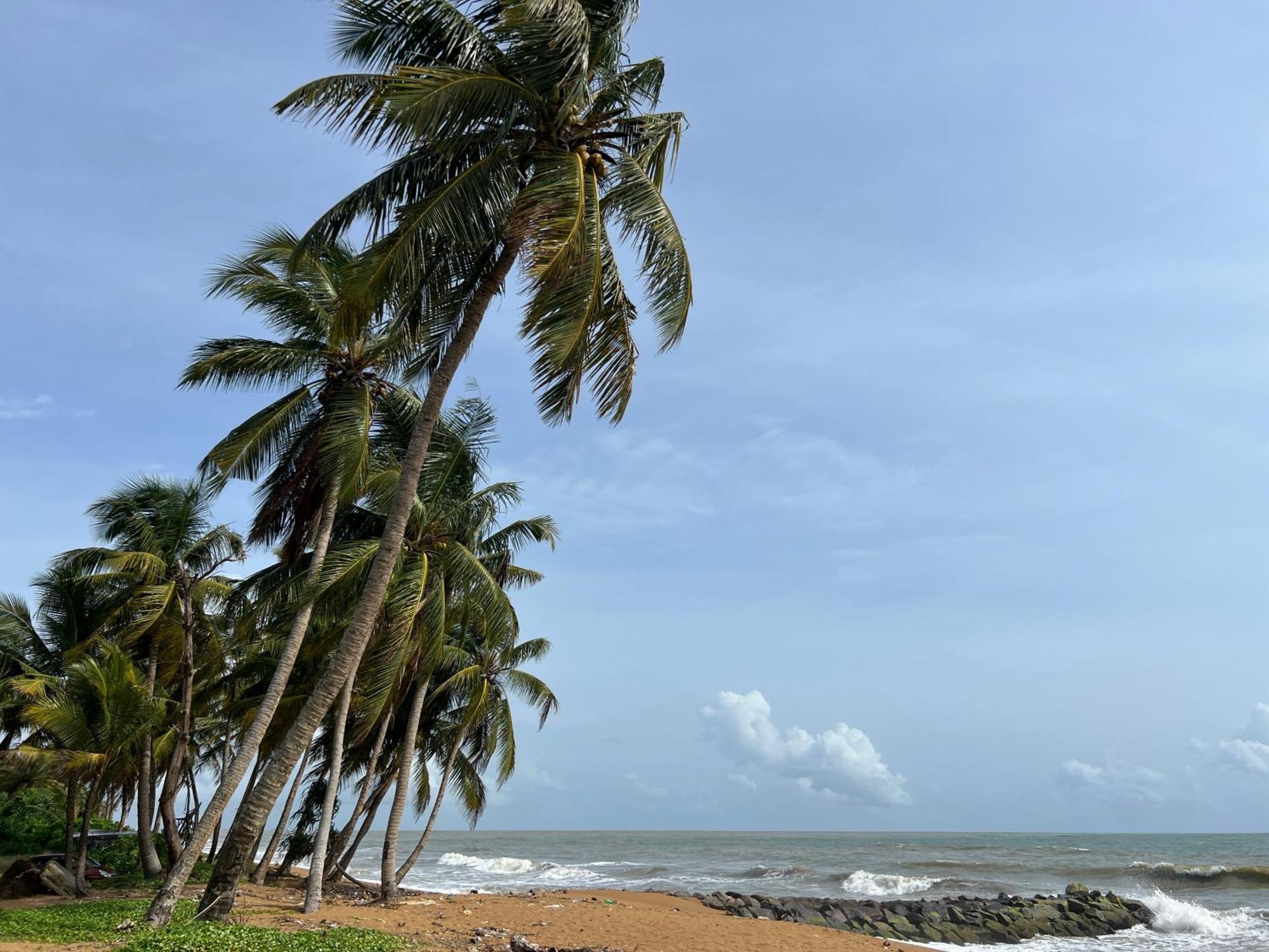 Lohas Beach Resort Villa Kalutara Bagian luar foto